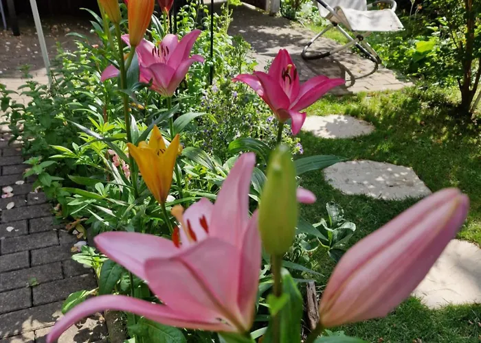 Domschatz Apartman Naumburg